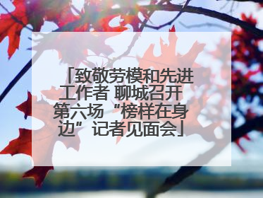 致敬劳模和先进工作者 聊城召开第六场“榜样在身边”记者见面会