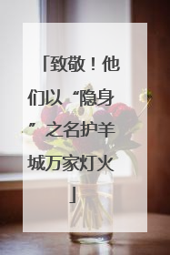 致敬！他们以“隐身”之名护羊城万家灯火