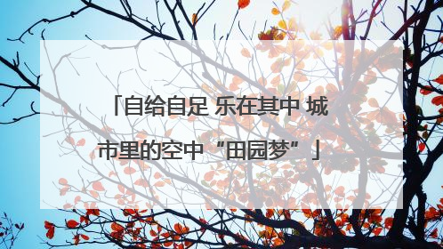 自给自足 乐在其中 城市里的空中“田园梦”