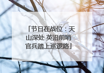 节日在战位：天山深处 英沿前哨官兵踏上巡逻路