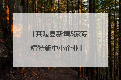 茶陵县新增5家专精特新中小企业