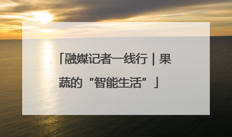 融媒记者一线行｜果蔬的“智能生活”