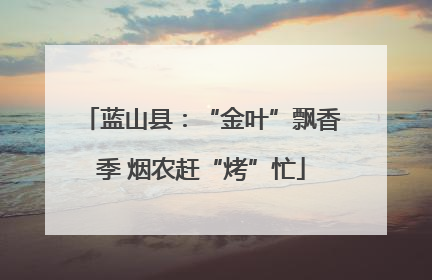 蓝山县：“金叶”飘香季 烟农赶“烤”忙