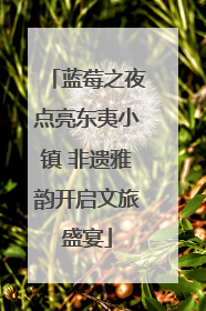 蓝莓之夜点亮东夷小镇 非遗雅韵开启文旅盛宴