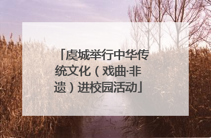 虞城举行中华传统文化（戏曲·非遗）进校园活动