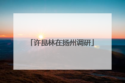 许昆林在扬州调研
