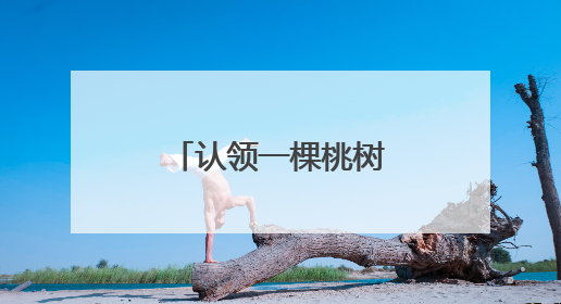 认领一棵桃树收获一份甜蜜,宁乡这个村邀你成为“树主”