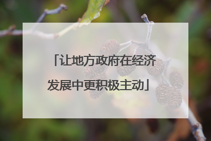 让地方政府在经济发展中更积极主动