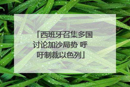 西班牙召集多国讨论加沙局势 呼吁制裁以色列