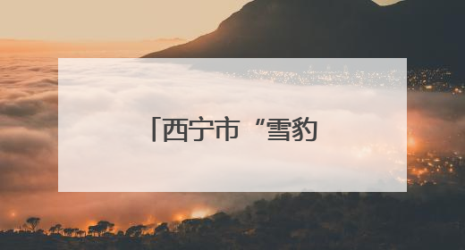 西宁市“雪豹之都”生态摄影展征稿启事
