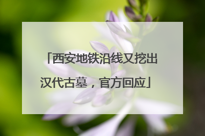 西安地铁沿线又挖出汉代古墓，官方回应