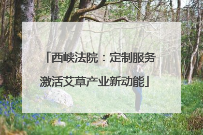 西峡法院：定制服务激活艾草产业新动能