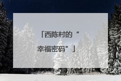 西陈村的“幸福密码”