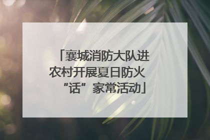 襄城消防大队进农村开展夏日防火“话”家常活动