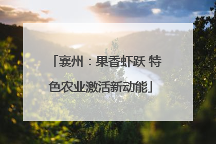 襄州：果香虾跃 特色农业激活新动能