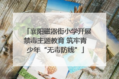 襄阳磁器街小学开展禁毒主题教育 筑牢青少年“无毒防线”