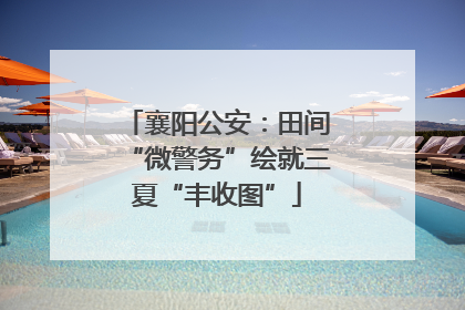 襄阳公安：田间“微警务”绘就三夏“丰收图”