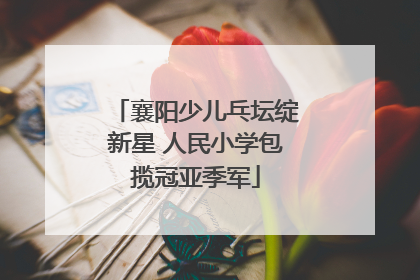 襄阳少儿乓坛绽新星 人民小学包揽冠亚季军