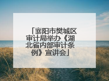 襄阳市樊城区审计局举办《湖北省内部审计条例》宣讲会