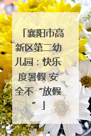 襄阳市高新区第二幼儿园：快乐度暑假 安全不“放假”