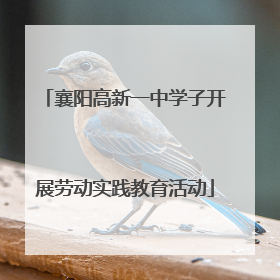 襄阳高新一中学子开展劳动实践教育活动