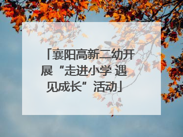襄阳高新二幼开展“走进小学 遇见成长”活动