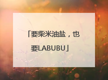 要柴米油盐，也要LABUBU