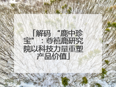 解码 “鹿中珍宝”：尊禧鹿研究院以科技力量重塑产品价值