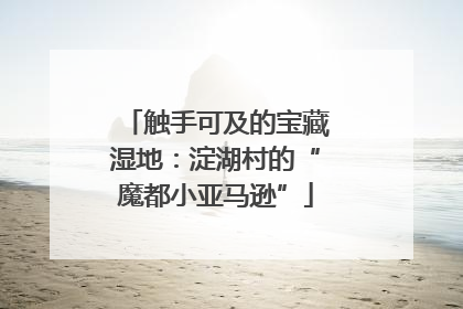 触手可及的宝藏湿地：淀湖村的“魔都小亚马逊”