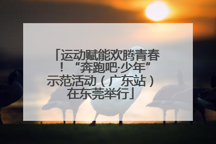 运动赋能欢腾青春！“奔跑吧·少年”示范活动（广东站）在东莞举行