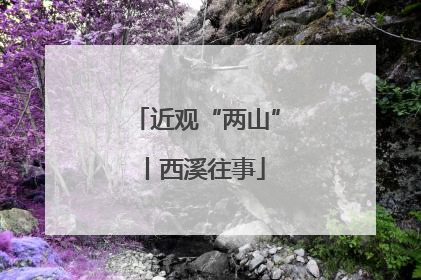近观“两山”丨西溪往事
