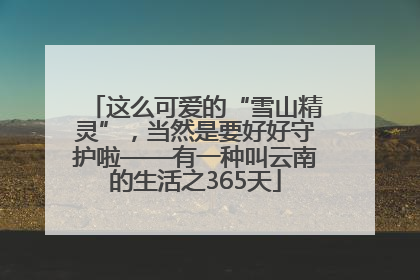 这么可爱的“雪山精灵”，当然是要好好守护啦——有一种叫云南的生活之365天