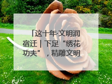 这十年·文明润宿迁｜下足“绣花功夫”，精雕文明城市品质