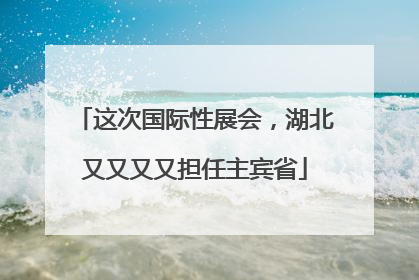 这次国际性展会，湖北又又又又担任主宾省