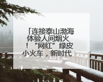 连接泰山渤海 体验人间烟火！“网红”绿皮小火车，新时代迎来新使命