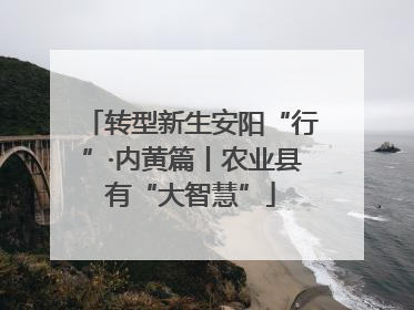 转型新生安阳“行”·内黄篇丨农业县有“大智慧”