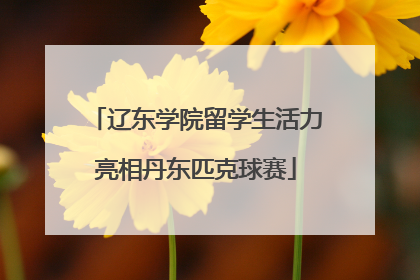 辽东学院留学生活力亮相丹东匹克球赛