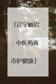 辽宁岫岩：中医药夜市护健康