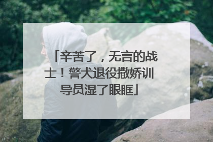 辛苦了，无言的战士！警犬退役撒娇训导员湿了眼眶