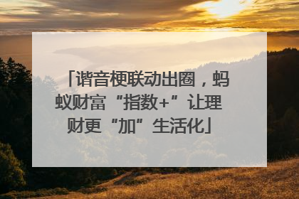 谐音梗联动出圈，蚂蚁财富“指数+”让理财更“加”生活化