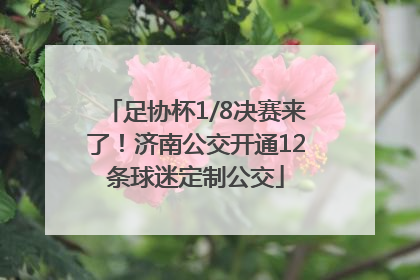 足协杯1/8决赛来了！济南公交开通12条球迷定制公交