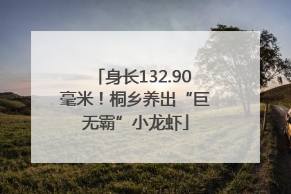 身长132.90毫米！桐乡养出“巨无霸”小龙虾
