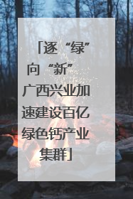 逐“绿”向“新” 广西兴业加速建设百亿绿色钙产业集群