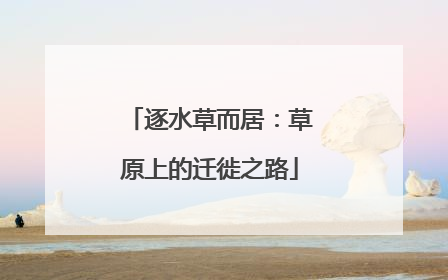 逐水草而居：草原上的迁徙之路