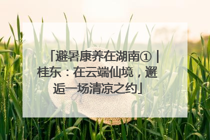 避暑康养在湖南①｜桂东：在云端仙境，邂逅一场清凉之约