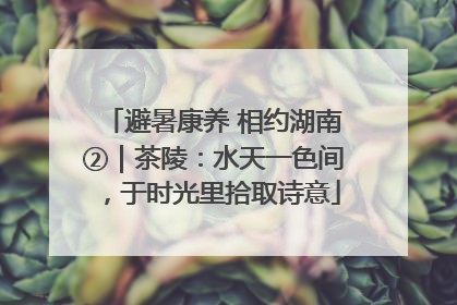 避暑康养 相约湖南②｜茶陵：水天一色间，于时光里拾取诗意