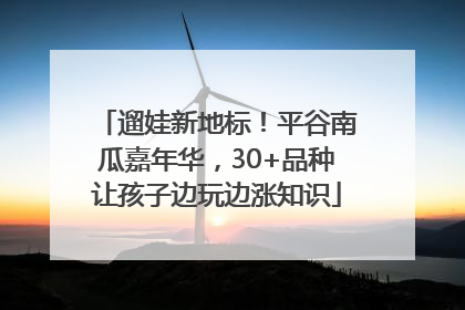 遛娃新地标！平谷南瓜嘉年华，30+品种让孩子边玩边涨知识