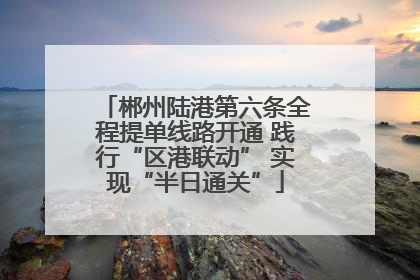 郴州陆港第六条全程提单线路开通 践行“区港联动” 实现“半日通关”