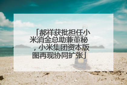 郝祥获批担任小米消金总助兼董秘，小米集团资本版图再现协同扩张