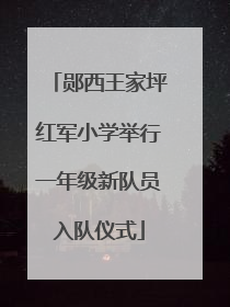 郧西王家坪红军小学举行一年级新队员入队仪式